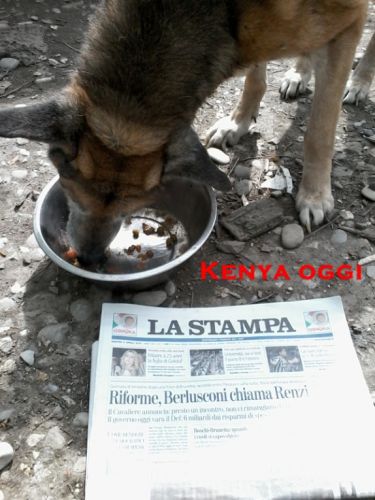 kenia_oggi_1