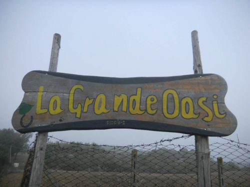 la_grande_oasi_N0891
