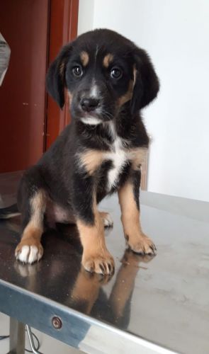 letizia1_copy