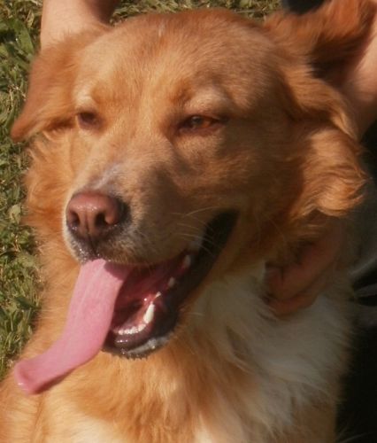 lillo_zoom