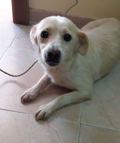 lilly_copy_copy