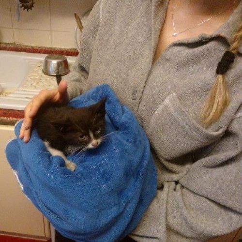 mignon2