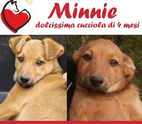 minnie_4_mesi_copy_copy