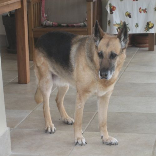 mirta_1_GENNAIO_201