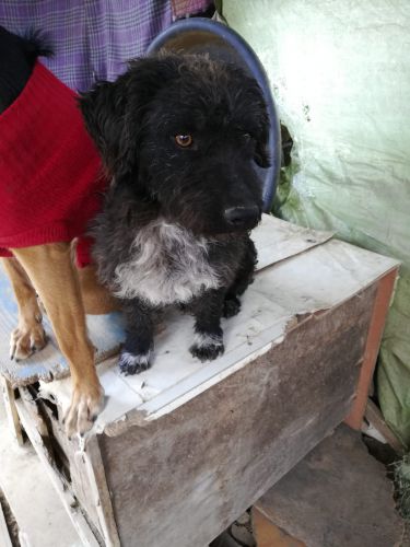 napo-20200406-WA0082