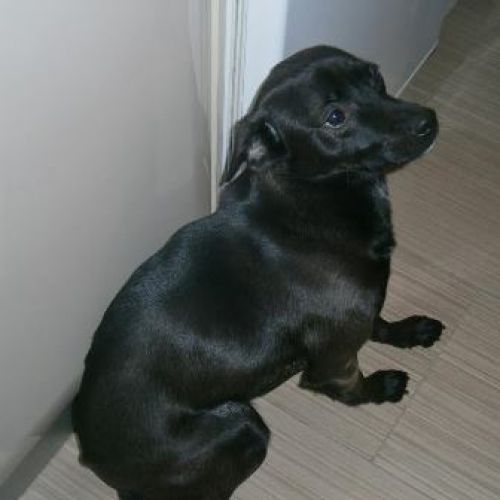 otto_napoli1