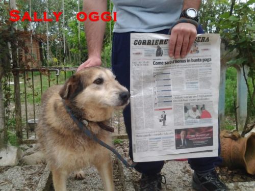 sally_oggi