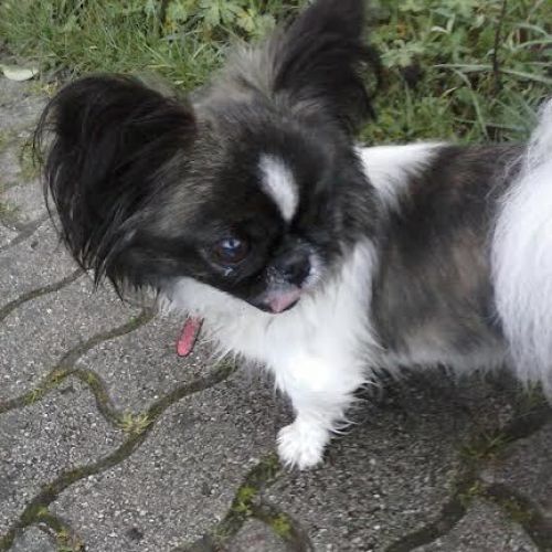 smarrita_potenza_copy