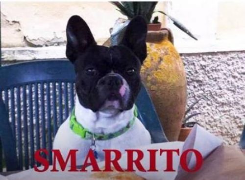 smarrito_arezzo