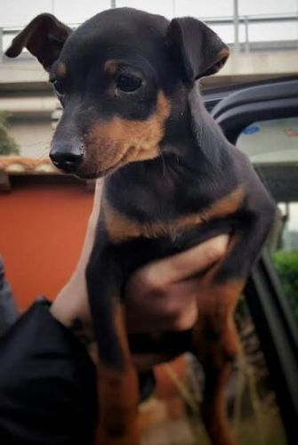 smarrito_ferentino3