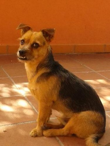 smarrito_montemario