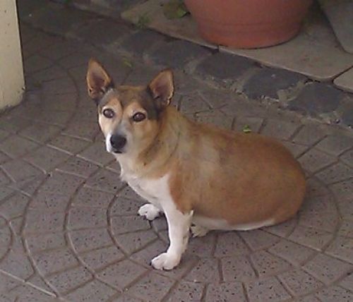 smarrito_nettuno1_copy