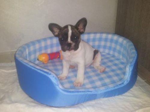 smarrito_tivoli1