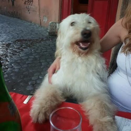 ted_testimonianza1