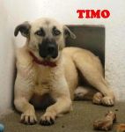0timo2