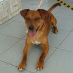 1037-13_muratella