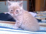 3micini2