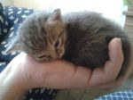 5micini_scatolone3