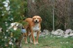 AMELIE_agosto-2013_32