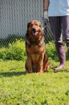 ATHOS_2