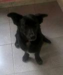Annina1