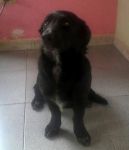 Annina2