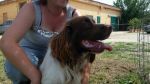 Arancio2
