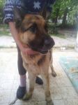 Axel3