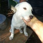 BILLY1