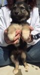 Billino1