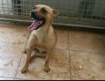 Billo5