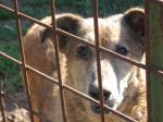 Birilla1feb13