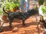 CHICCO_ferentino2