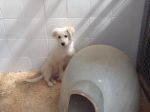 CHICO_3