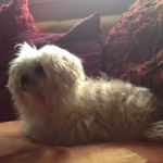 Candy_testimonianza