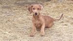 Charlie_08065_n
