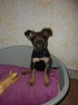 DIEGO1