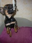 DIEGO2
