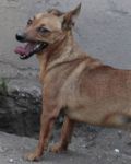 ETTORE