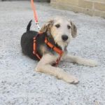 FILIPPO1_copy