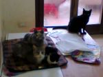 Foto0113