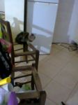 Foto0122