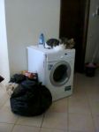 Foto0123