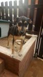 Frida_20160402-WA0000