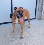 Fulvio_libero_5.09.2013