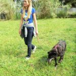 Gavin_prova_pettorina_1