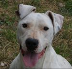 Giorgia_30.5.2010_n._5