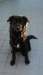 Giuditta1