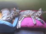 IMG-20180905-WA0008