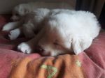 IMG-20191106-WA0001